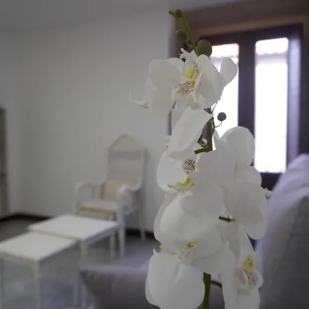 Apartamento Sanin 3 Lumbrales Exterior photo