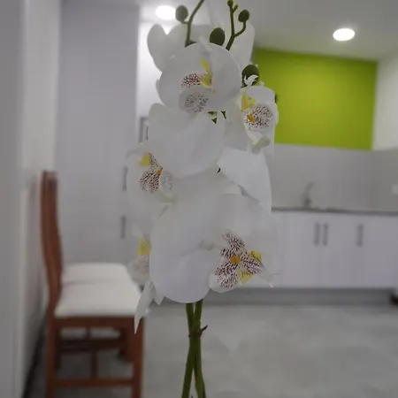 Apartamento Sanin 3 Lumbrales Exterior photo