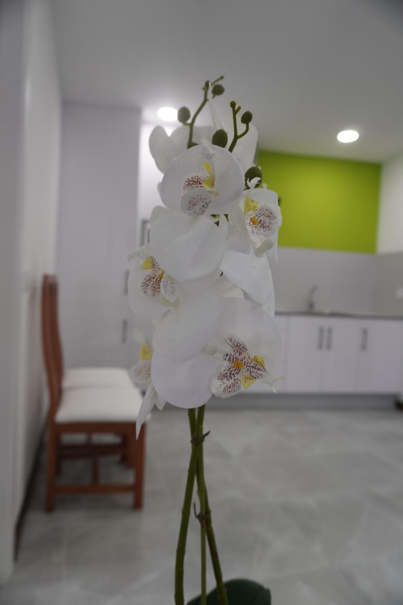 Apartment Sanin 3 Lumbrales